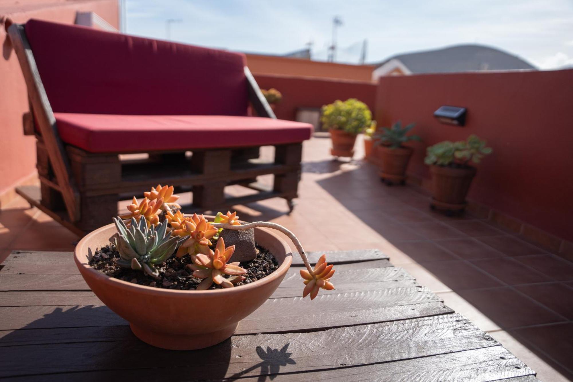 Tenohomes Rustic House With Terrace & Nature Views Buenavista Del Norte Exterior photo
